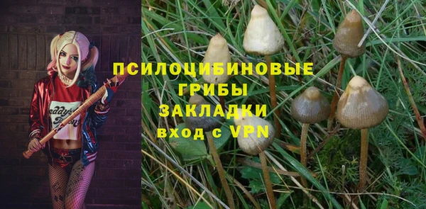 спайс Беломорск