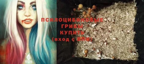 спайс Беломорск