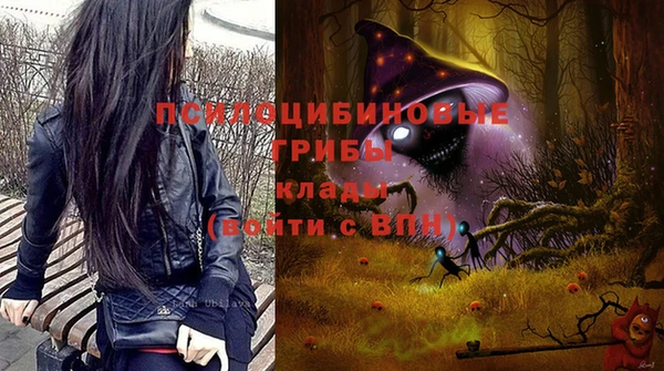 PSILOCYBIN Бугульма