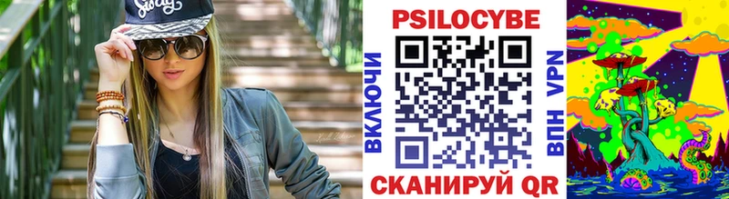купить закладку  ссылка на мегу   Псилоцибиновые грибы Psilocybe  Рыбинск 